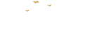 Pyratz