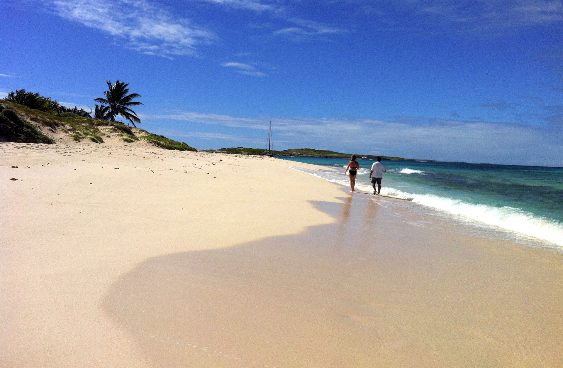 prickley pear anguilla