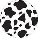 Owen Davenport profile picture